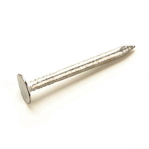 Extra Large Head Clout Nails - Galvanised - 30mm - 2.5kg Tub