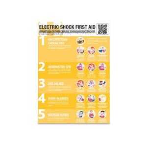 A2 Electric Shock Guidance Poster