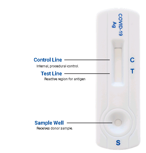 Covid-19 Rapid Antigen Test results